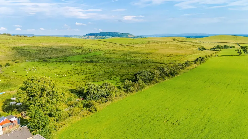 Rolling green and yellow fields, hedges and distant hills under a blue sky.